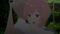 7Lg6IJlT4tu7rTA30H0hiqbtVkZ