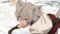 Mushoku Tensei: Jobless Reincarnation Season 3 Episode 7